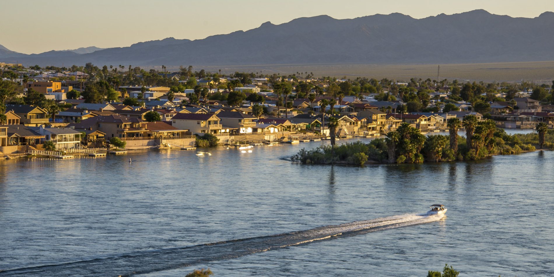 Affordable Paternity Testing Service in Bullhead City, AZ